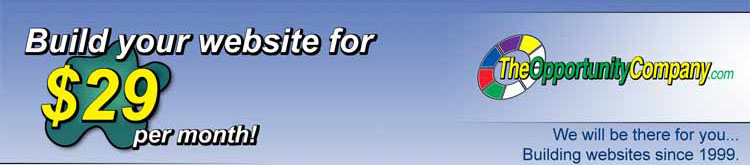 Build your website for $25 per month!